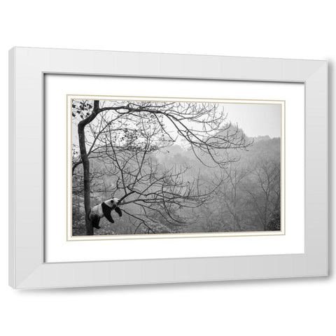 Relax White Modern Wood Framed Art Print with Double Matting by Catta, Alessandro