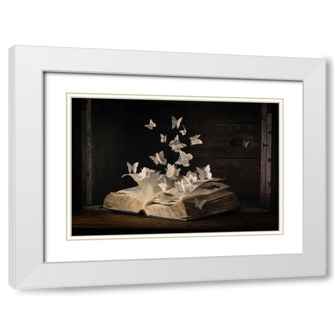 Lepidopterology White Modern Wood Framed Art Print with Double Matting by Bonadio, Heather