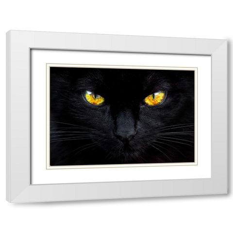 The hypnotist of the night White Modern Wood Framed Art Print with Double Matting by Valverde, Ferdinando