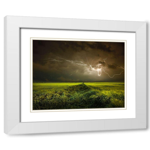 Electrically in Summer White Modern Wood Framed Art Print with Double Matting by Schumacher, Nicolas