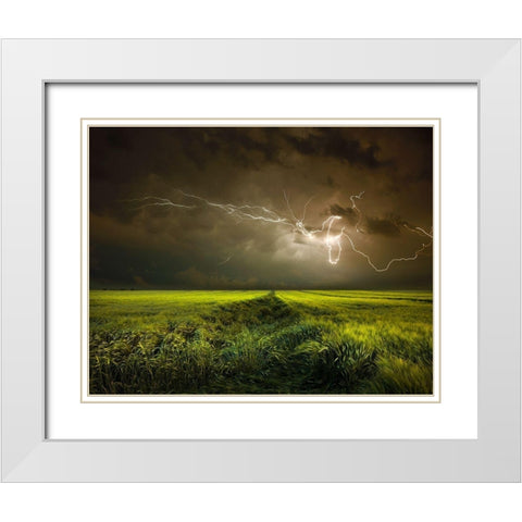 Electrically in Summer White Modern Wood Framed Art Print with Double Matting by Schumacher, Nicolas