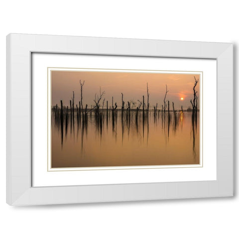 drowned forest White Modern Wood Framed Art Print with Double Matting by Haaksma, Piet