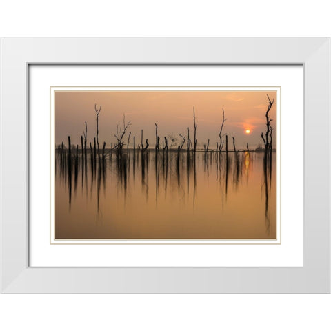 drowned forest White Modern Wood Framed Art Print with Double Matting by Haaksma, Piet