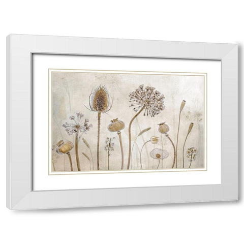 Growing old White Modern Wood Framed Art Print with Double Matting by Disher, Mandy