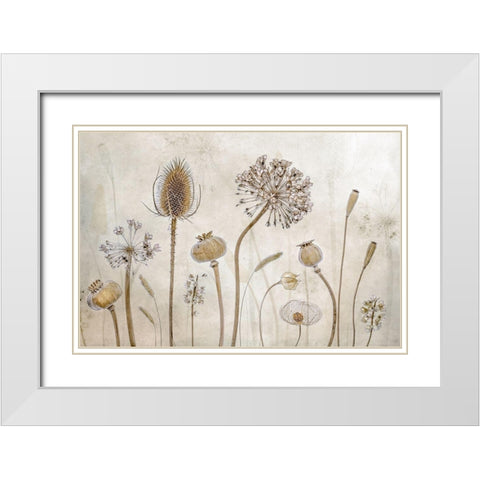 Growing old White Modern Wood Framed Art Print with Double Matting by Disher, Mandy