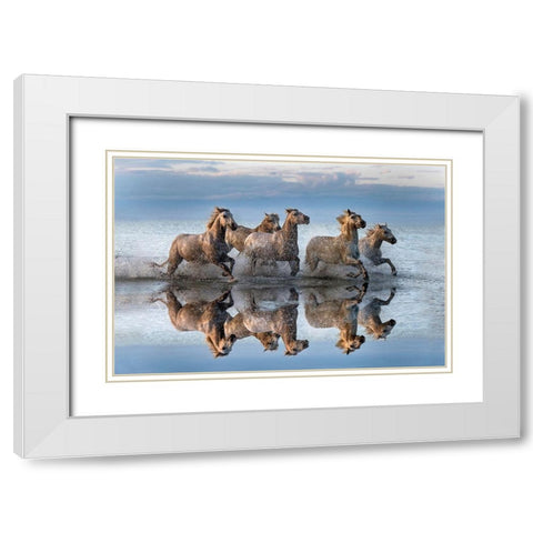 Horses and reflection White Modern Wood Framed Art Print with Double Matting by Ortega, Xavier