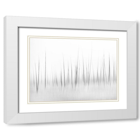 Wintry scenery in Yellowstone White Modern Wood Framed Art Print with Double Matting by Lai, Charles