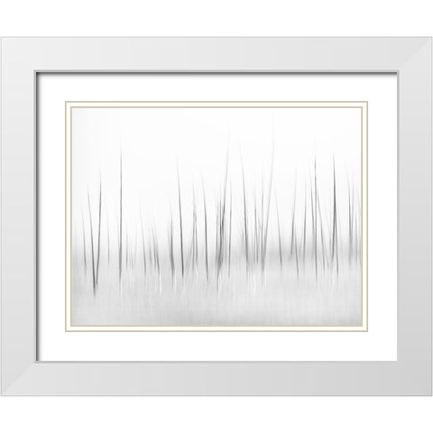 Wintry scenery in Yellowstone White Modern Wood Framed Art Print with Double Matting by Lai, Charles