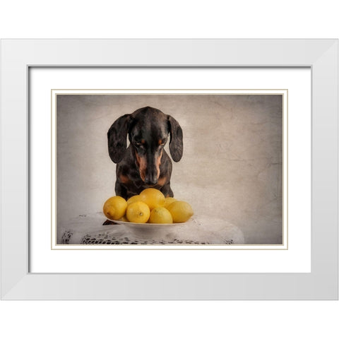 When Life Gives You Lemons... White Modern Wood Framed Art Print with Double Matting by Willers, Heike