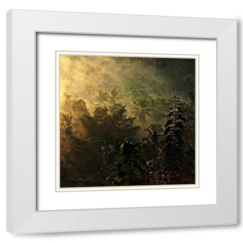 the atmosphere of the morning ..... White Modern Wood Framed Art Print with Double Matting by Januar, Johanes