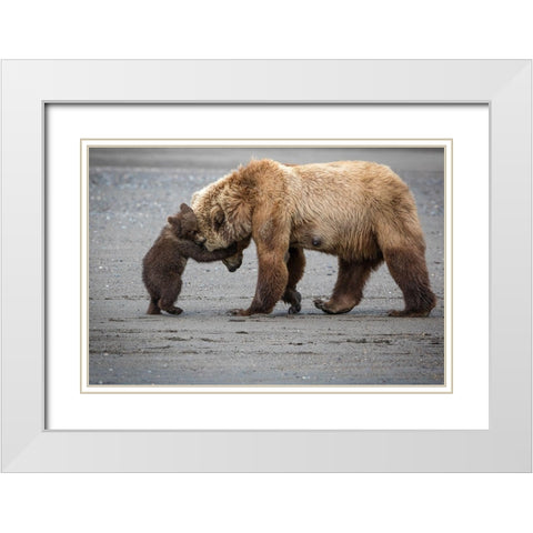 A Little Bear Hug White Modern Wood Framed Art Print with Double Matting by Doyle, Renee