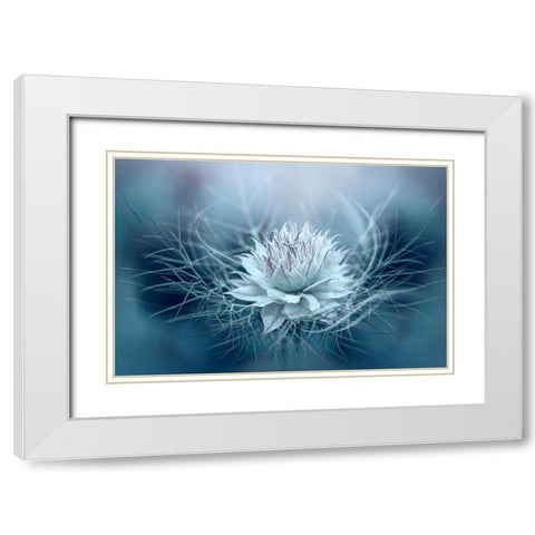 Love-in-a-mist White Modern Wood Framed Art Print with Double Matting by Parker, Jacky