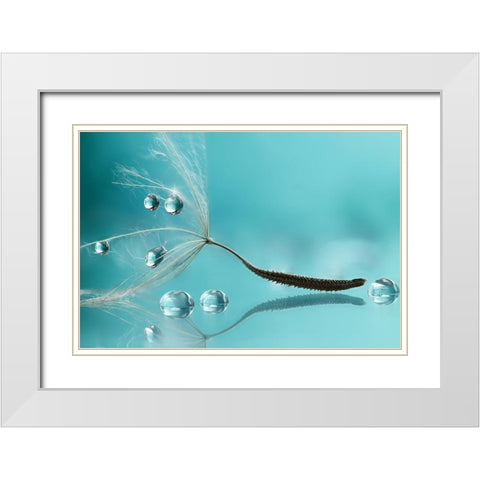 Water White Modern Wood Framed Art Print with Double Matting by Barbieri, Rina