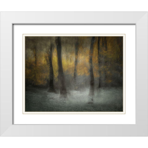 Dancing Trees White Modern Wood Framed Art Print with Double Matting by Talen, Nel