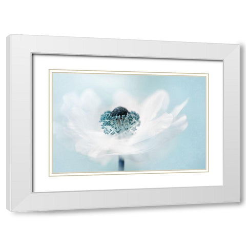 Candy floss White Modern Wood Framed Art Print with Double Matting by Parker, Jacky