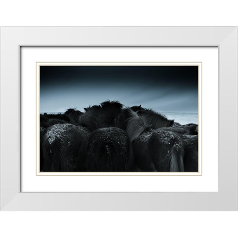 Cold weather White Modern Wood Framed Art Print with Double Matting by Z, Bingo