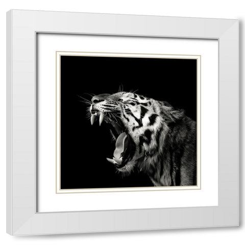 Primal Yawn 4 White Modern Wood Framed Art Print with Double Matting by Meermann, Christian
