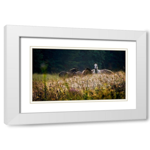 our garden White Modern Wood Framed Art Print with Double Matting by Malovrh, Milan