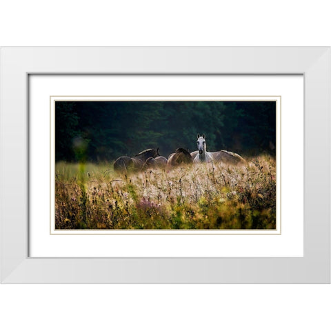 our garden White Modern Wood Framed Art Print with Double Matting by Malovrh, Milan