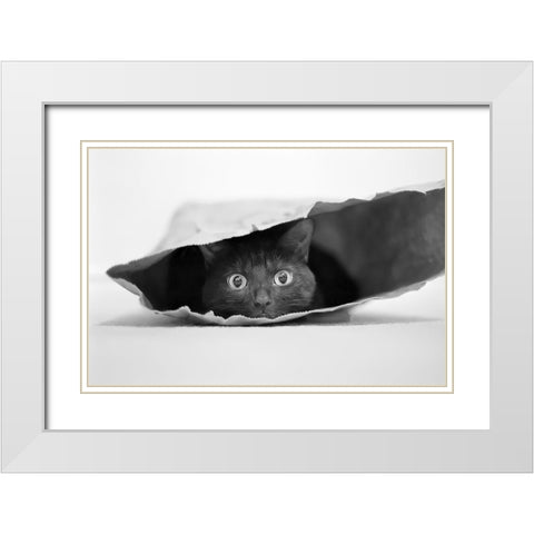 Cat in a bag White Modern Wood Framed Art Print with Double Matting by Holthuysen, Jeremy