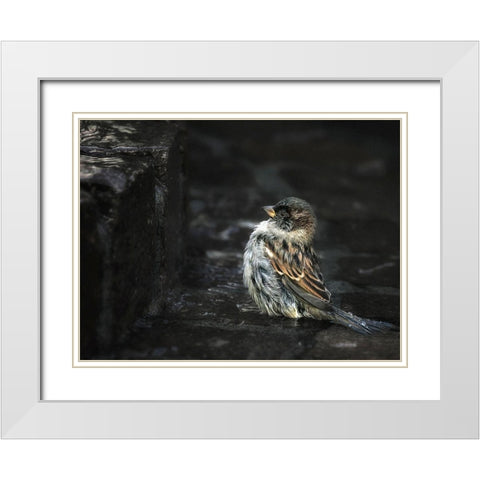 the Wall White Modern Wood Framed Art Print with Double Matting by Droste, Holger