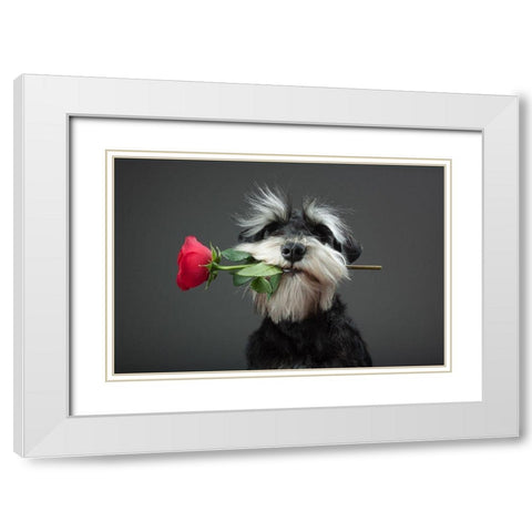 Tango Dancer White Modern Wood Framed Art Print with Double Matting by Mahmutovic, Adnan