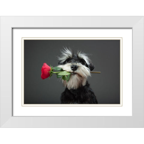 Tango Dancer White Modern Wood Framed Art Print with Double Matting by Mahmutovic, Adnan