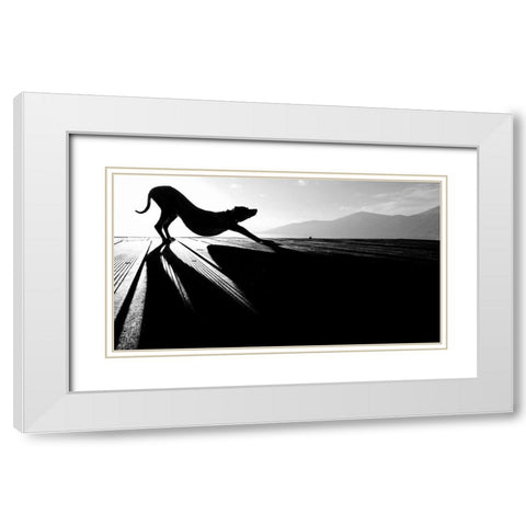 sun salutation White Modern Wood Framed Art Print with Double Matting by Frick, Christine