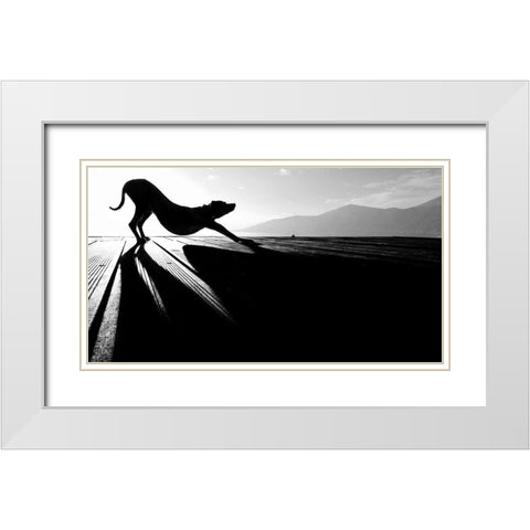sun salutation White Modern Wood Framed Art Print with Double Matting by Frick, Christine