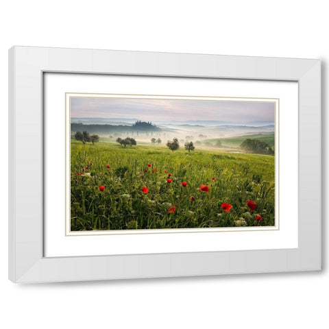 Tuscan spring White Modern Wood Framed Art Print with Double Matting by Rericha, Daniel