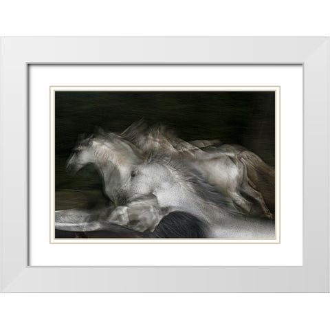 into the dark White Modern Wood Framed Art Print with Double Matting by Malovrh, Milan