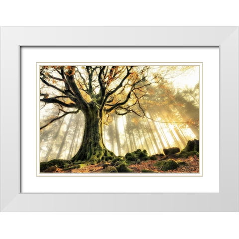 November White Modern Wood Framed Art Print with Double Matting by Kiciak, Christophe