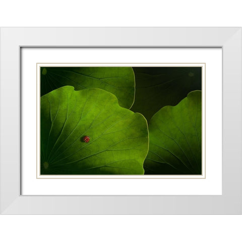 Wanderlust White Modern Wood Framed Art Print with Double Matting by Bonadio, Heather
