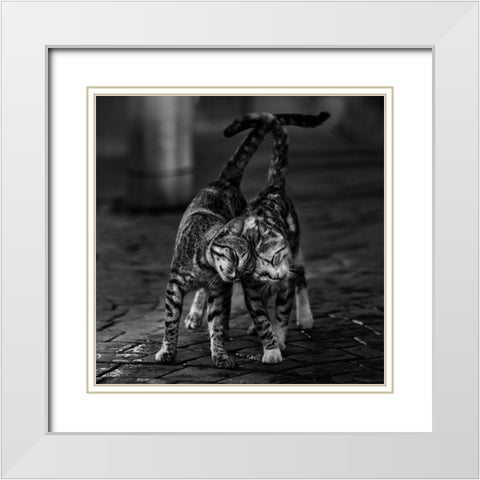 Untitled White Modern Wood Framed Art Print with Double Matting by Nebula