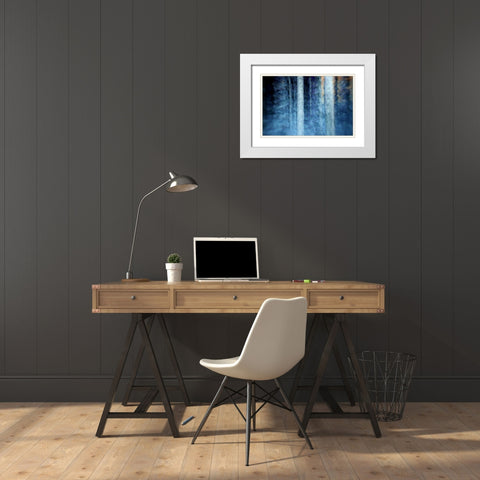 THE FOREST White Modern Wood Framed Art Print with Double Matting by Barbadimos, Kostas