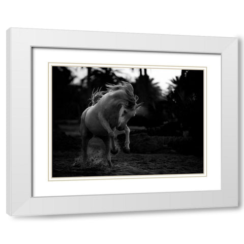 Boast White Modern Wood Framed Art Print with Double Matting by Al-Saeed, Abdullah