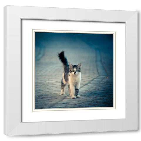 little one White Modern Wood Framed Art Print with Double Matting by Ilijic, Dejan