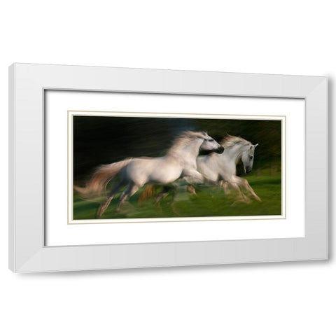 gallop for two White Modern Wood Framed Art Print with Double Matting by Malovrh, Milan