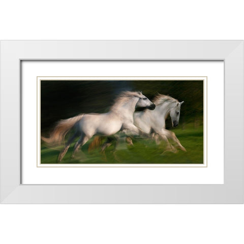 gallop for two White Modern Wood Framed Art Print with Double Matting by Malovrh, Milan