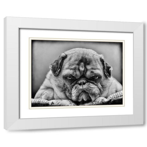 The Boss White Modern Wood Framed Art Print with Double Matting by Martha Himburg, Angelika
