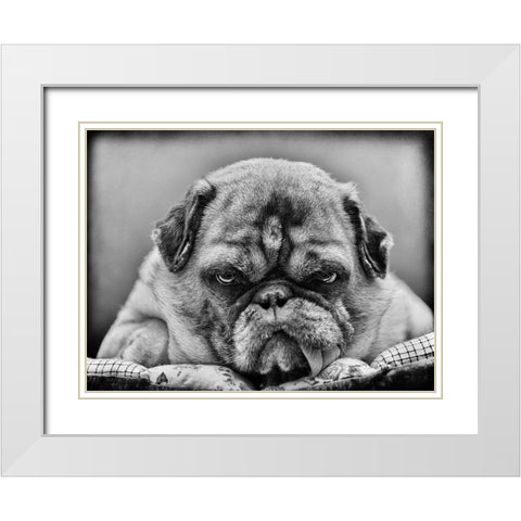 The Boss White Modern Wood Framed Art Print with Double Matting by Martha Himburg, Angelika