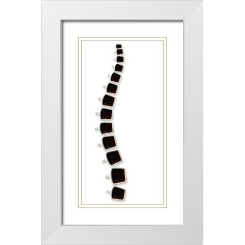 Backbone of coffee White Modern Wood Framed Art Print with Double Matting by De Kogel, Wieteke