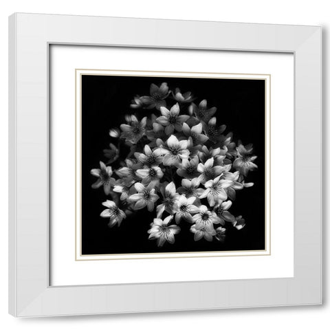Early Sensation White Modern Wood Framed Art Print with Double Matting by Depaepe, Yvette