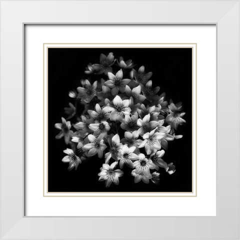 Early Sensation White Modern Wood Framed Art Print with Double Matting by Depaepe, Yvette