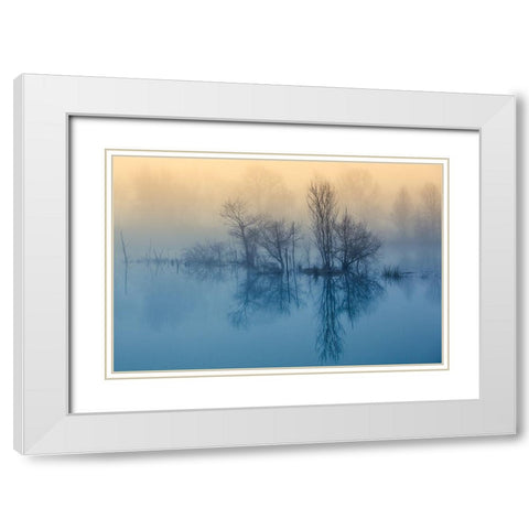 Morning reflection White Modern Wood Framed Art Print with Double Matting by Butali, David