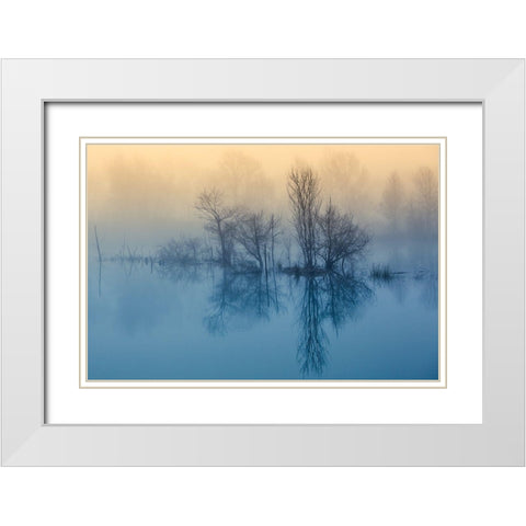 Morning reflection White Modern Wood Framed Art Print with Double Matting by Butali, David