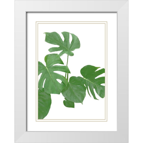 Monstera Green 02 White Modern Wood Framed Art Print with Double Matting by Artographie Studio