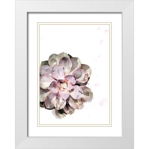 Succulent Plant 02 White Modern Wood Framed Art Print with Double Matting by Artographie Studio