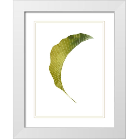 Banana Leaf White Modern Wood Framed Art Print with Double Matting by Artographie Studio