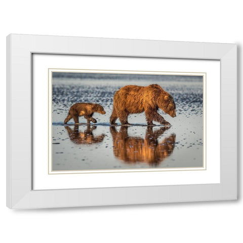 Beauty and the beast White Modern Wood Framed Art Print with Double Matting by Sink, Jeffrey C